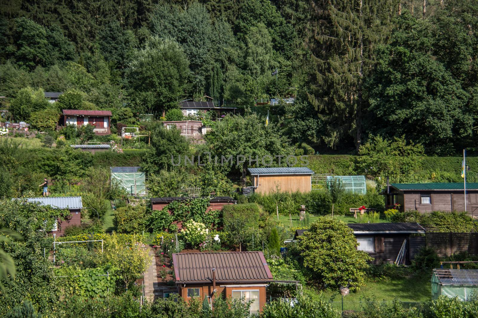 Allotments with houses on a slope