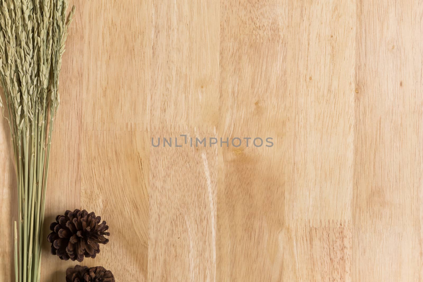 Wood Texture  Frame Background Decorated by Jasmine Rice Spike
