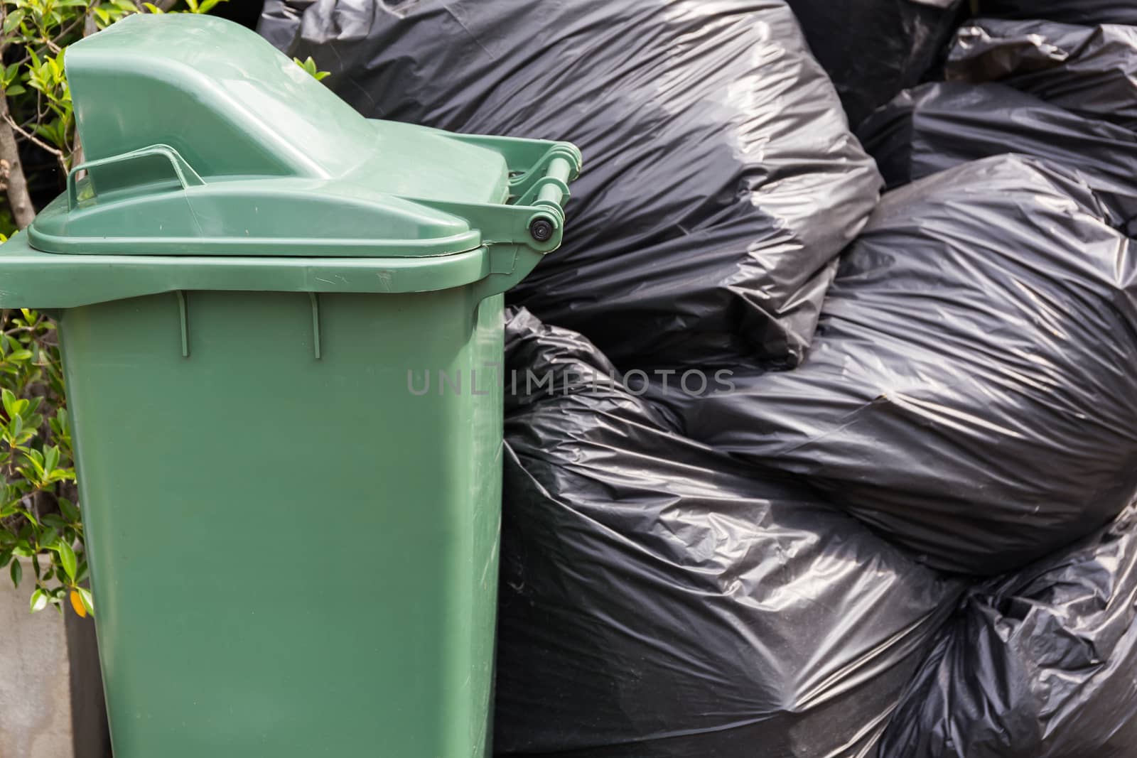 Green Bin and Black Garbage Bags Put Together