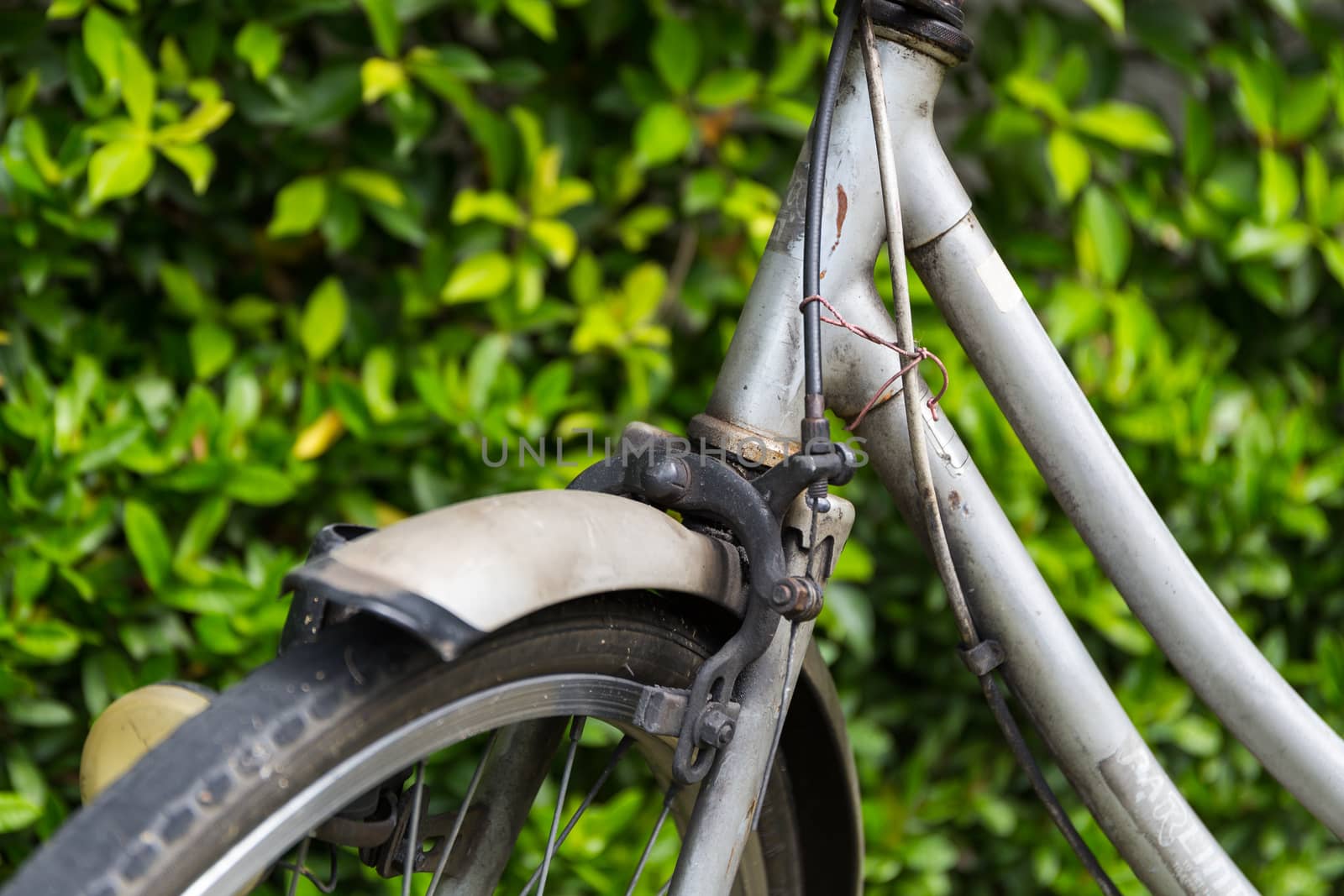 Front wheel of old bicycle parked at tree wall