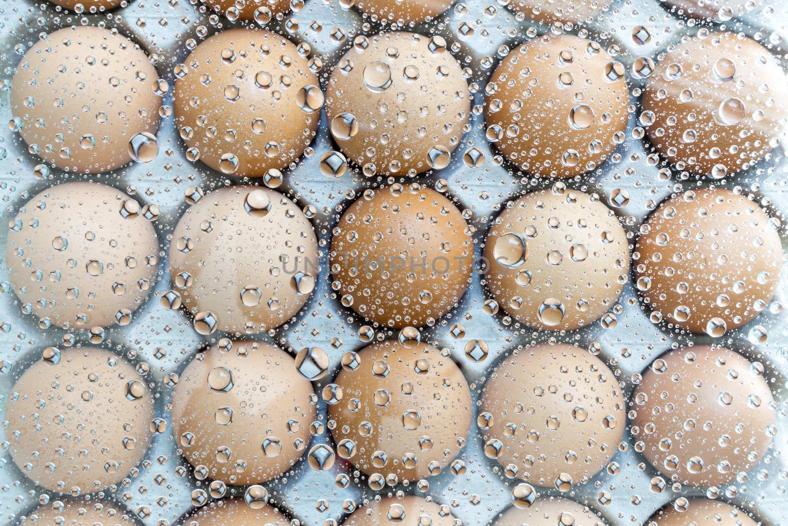 Water drop, droplet, raindrop of egg background