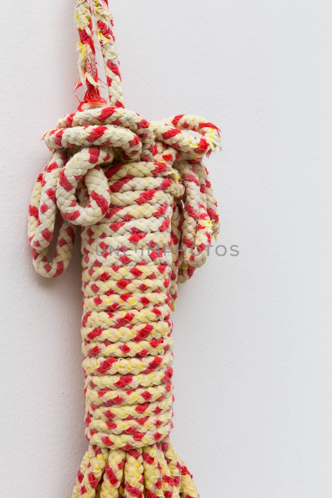 Rope is hung on white background color.