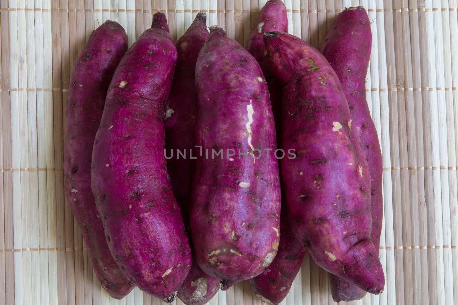 Raw sweet potatos freshly harvested from the farm.