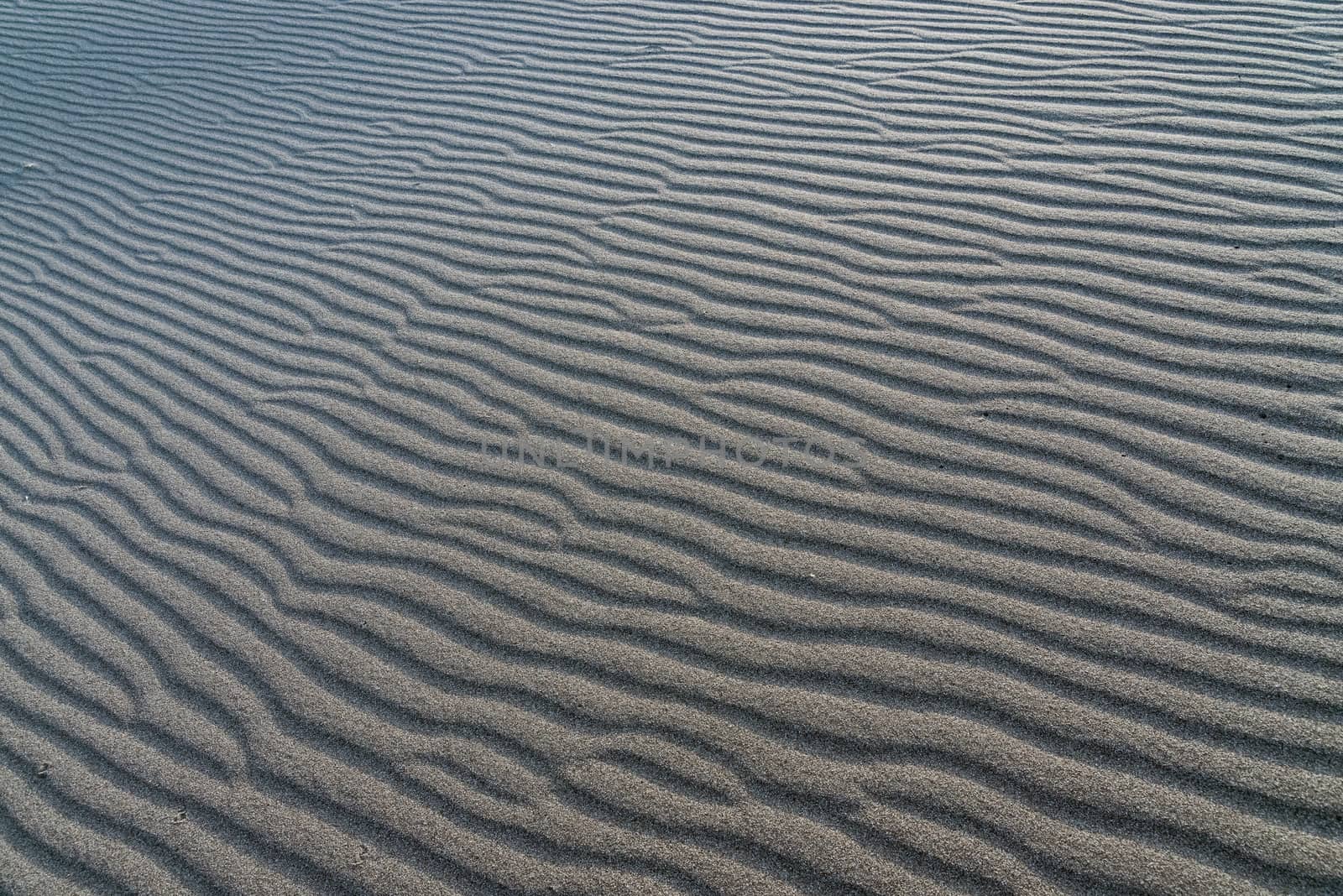 The rolling sands of Bruneau Dunes, Idaho.