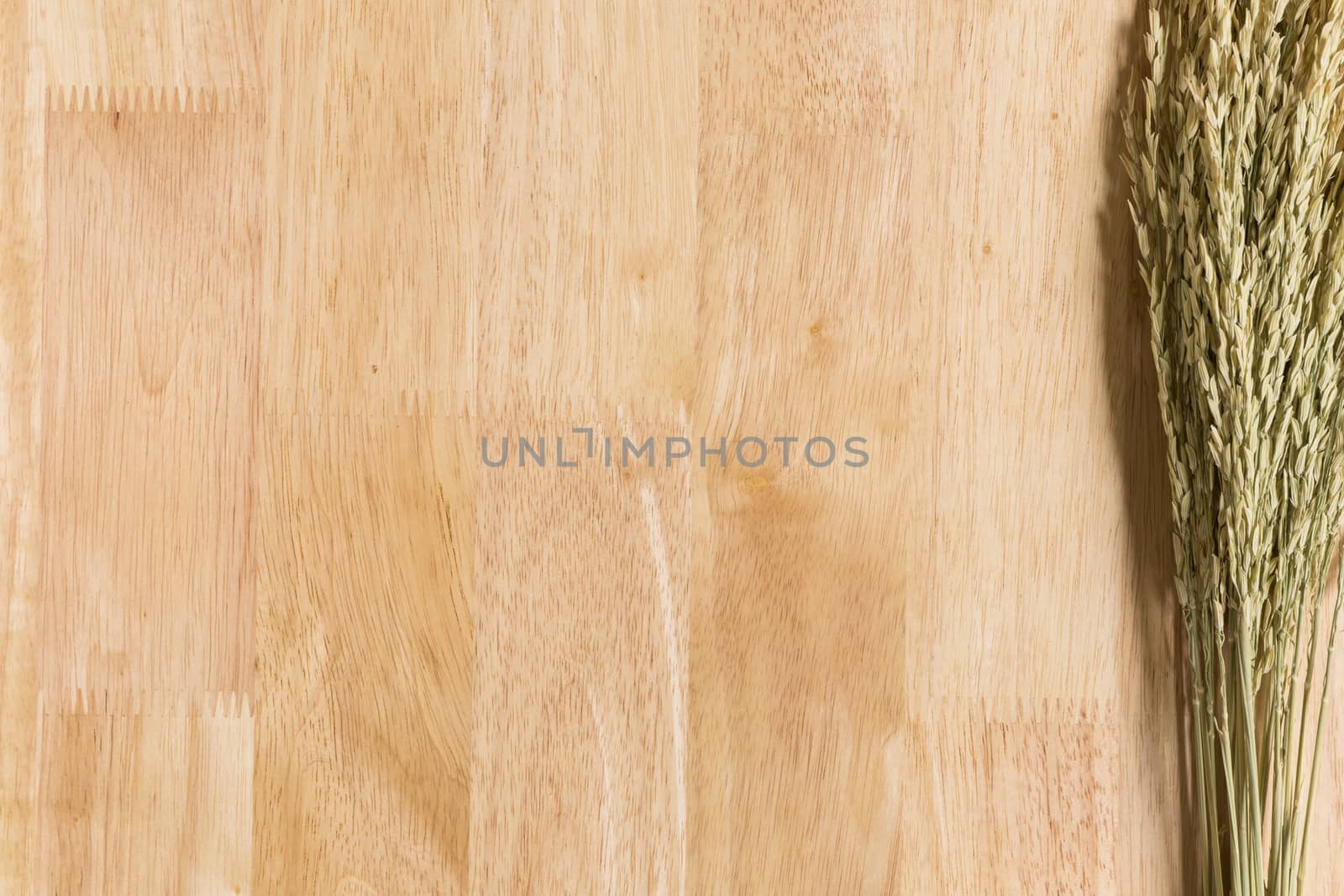 Wood Texture  Frame Background Decorated by Jasmine Rice Spike