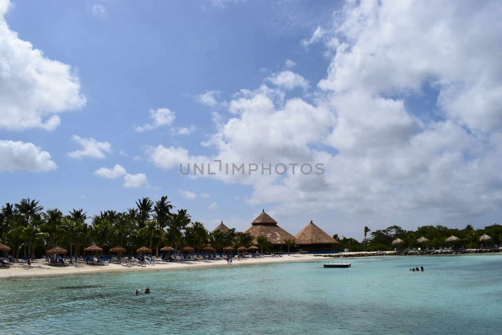 Aruba, Renaissance Island, Caribbean Sea. Sunny beach with white sand, coconut palm trees and turquoise sea. Summer vacation, tropical beach and pink flamingos