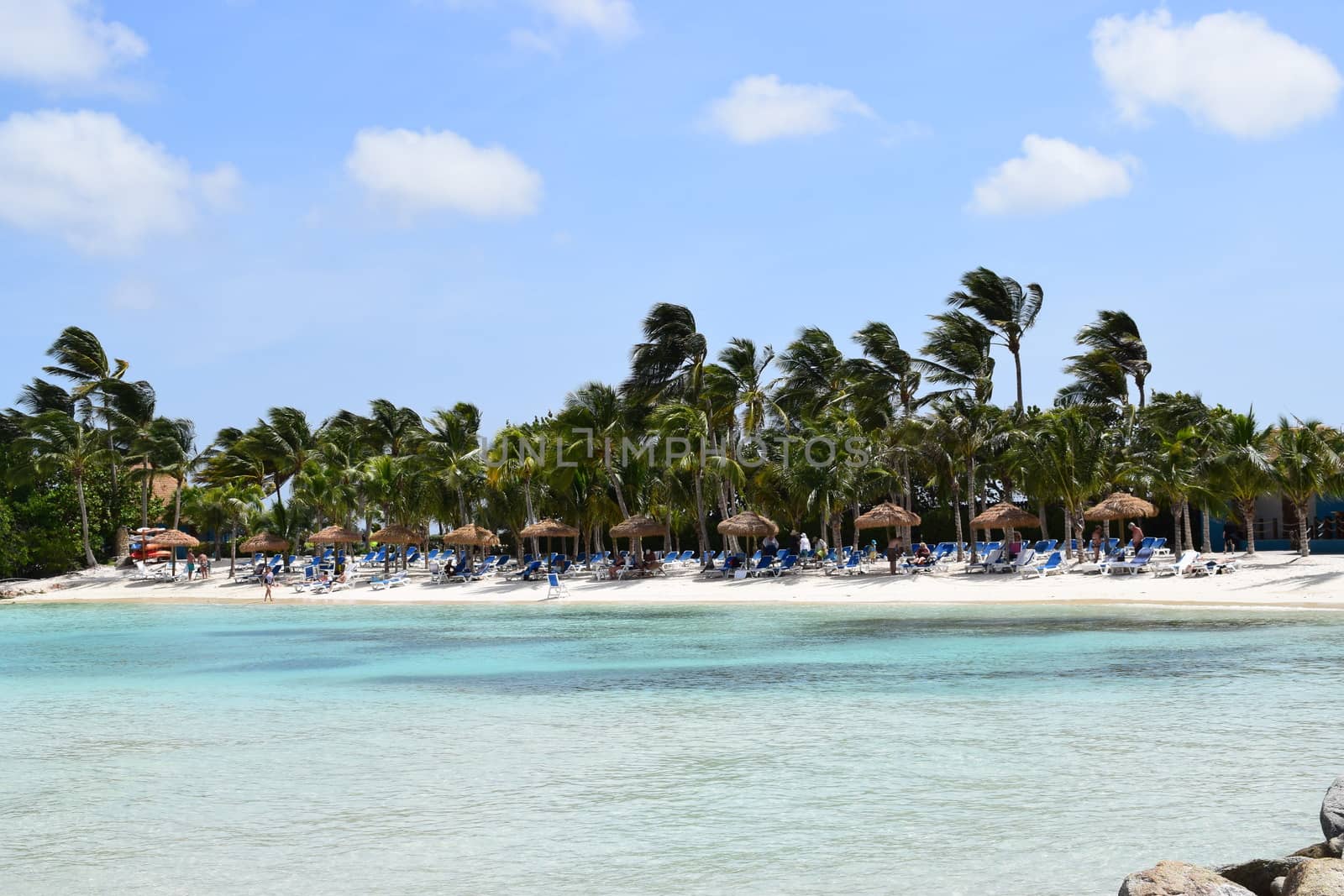 Aruba, Renaissance Island, Caribbean Sea. Sunny beach with white sand, coconut palm trees and turquoise sea. Summer vacation, tropical beach and pink flamingos
