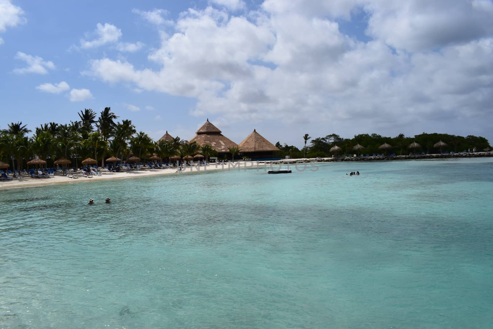 Aruba, Renaissance Island, Caribbean Sea. Sunny beach with white sand, coconut palm trees and turquoise sea. Summer vacation, tropical beach and pink flamingos