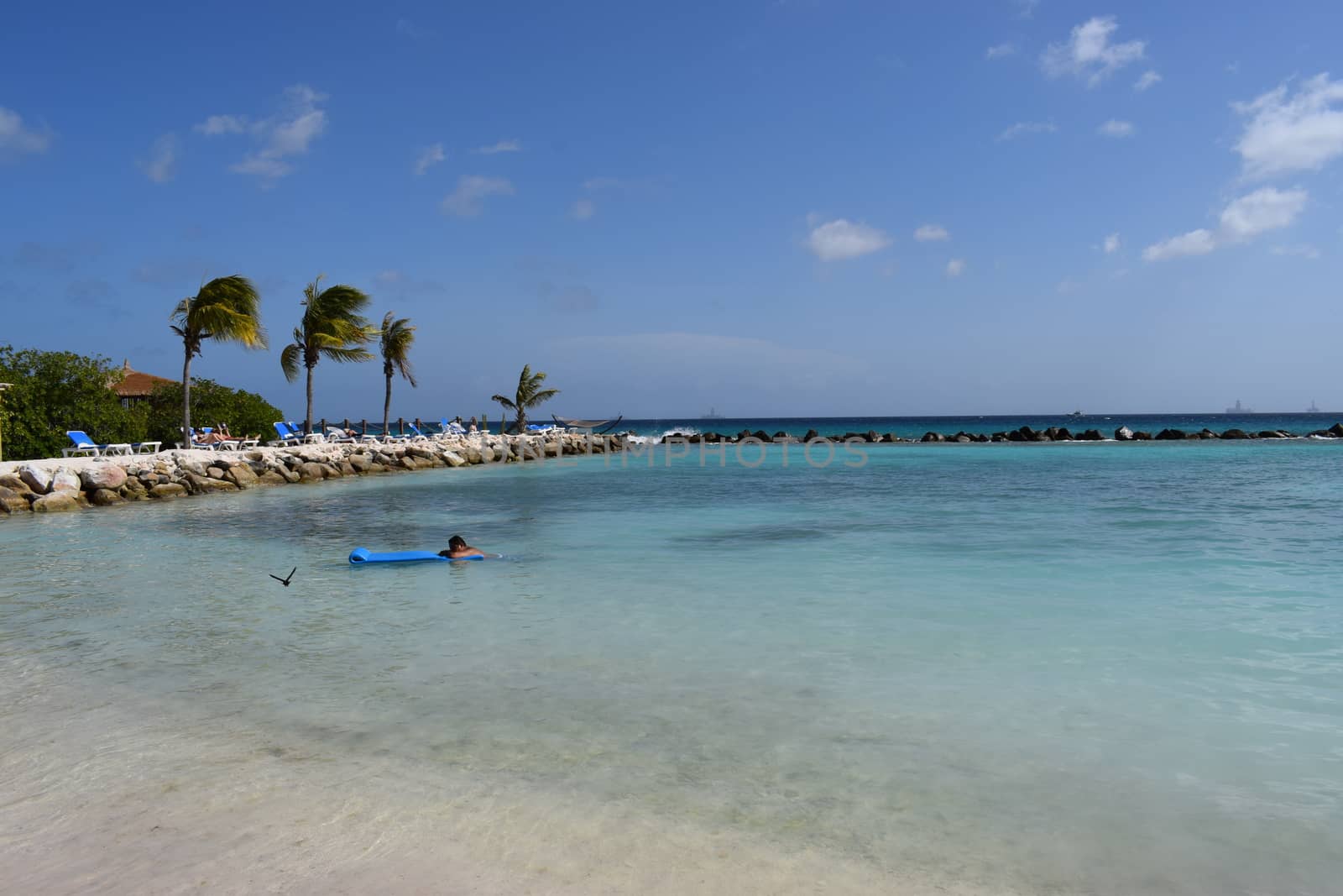 Aruba, Renaissance Island, Caribbean Sea. Sunny beach with white sand, coconut palm trees and turquoise sea. Summer vacation, tropical beach and pink flamingos