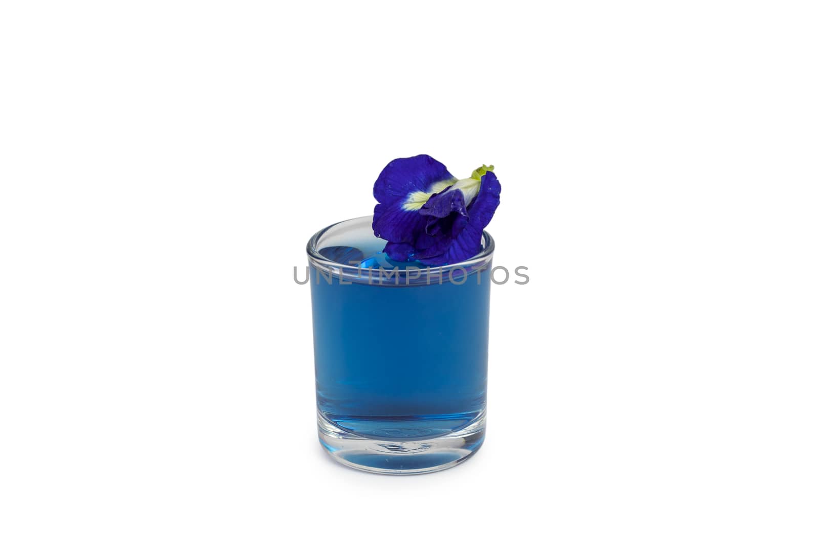 resh butterfly pea flowers juice isolated on white background by Khankeawsanan