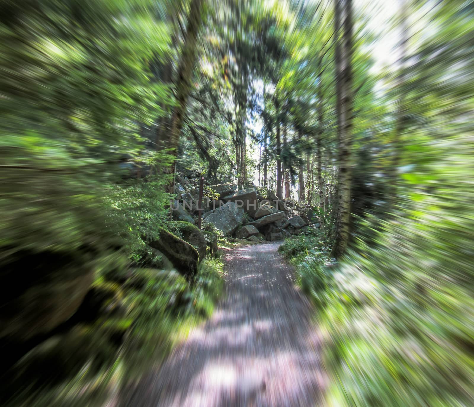 Rocks of the devil in the Harz Mountains