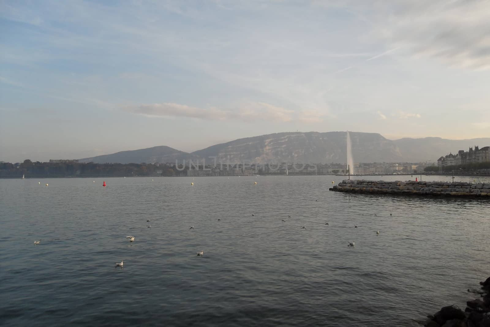 A beautiful view of Geneva in a beautiful winter day, Switzerland - Romantic view of a Swiss city