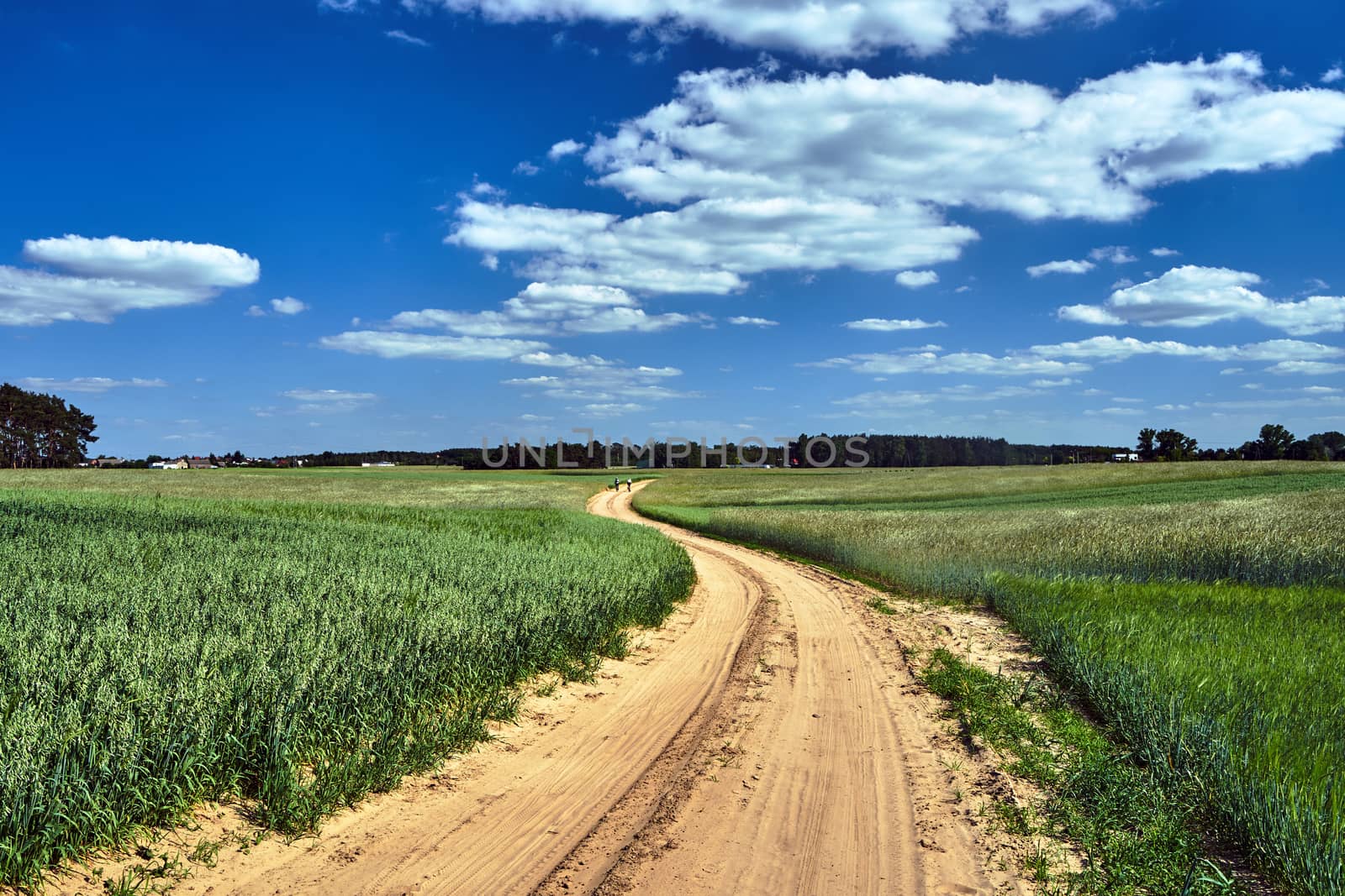 Rural landscape with a dirt, sandy road and arable fields in Poland