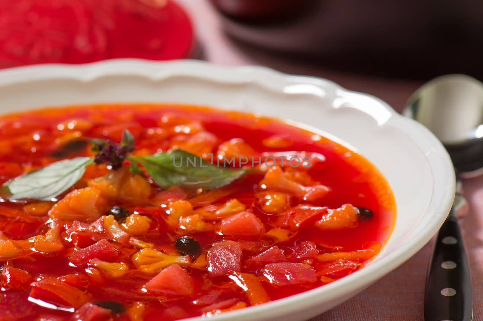 Сold vegetable soup in a white ceramic plate