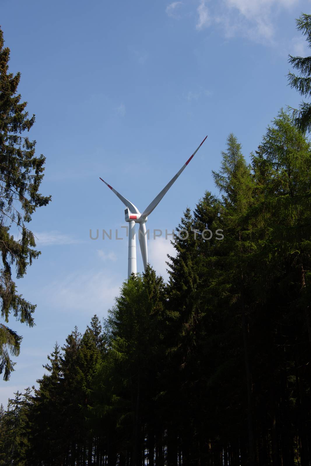 Wind turbine for energy generation in the forest