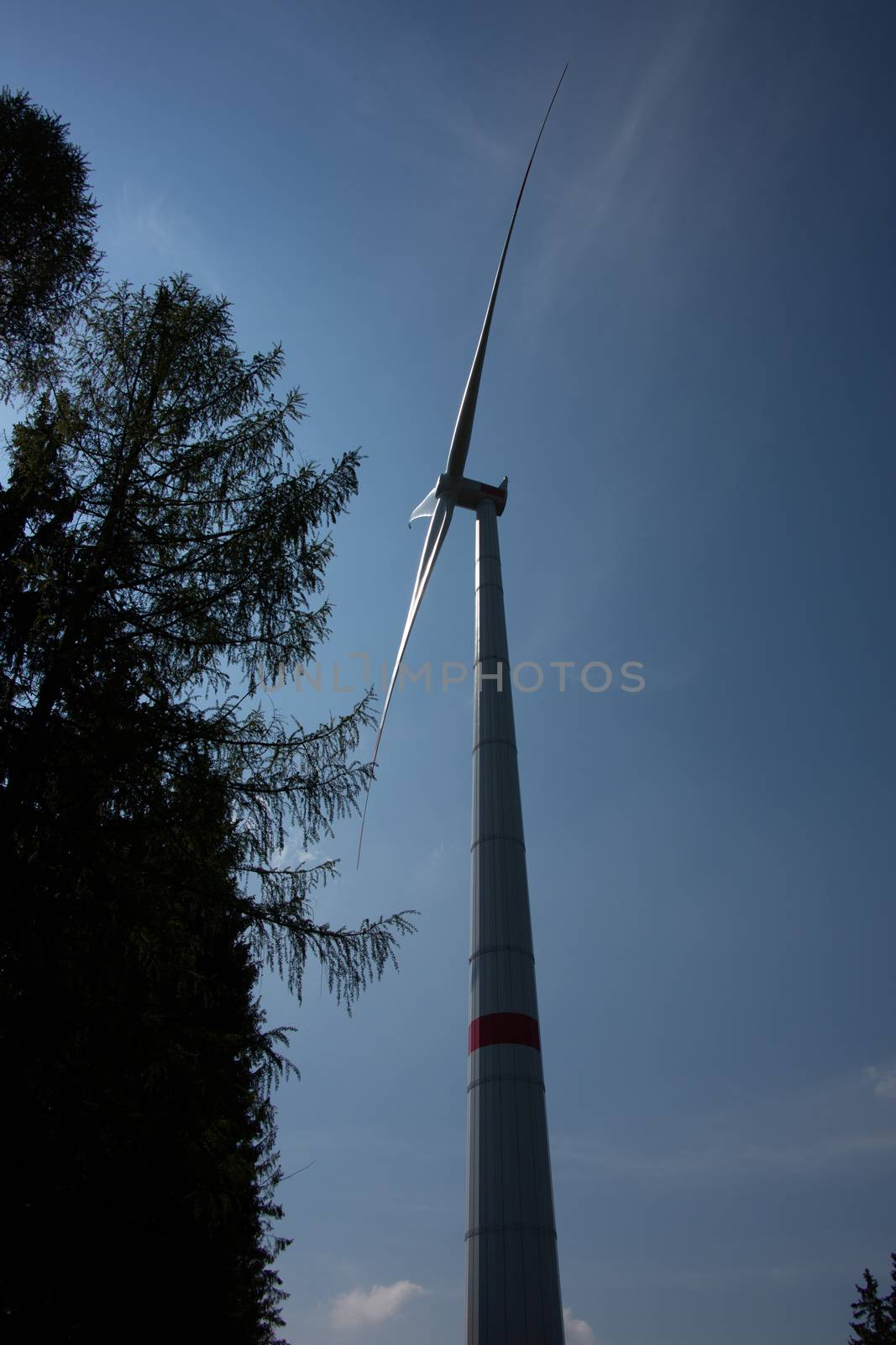 Wind turbine for energy generation in the forest