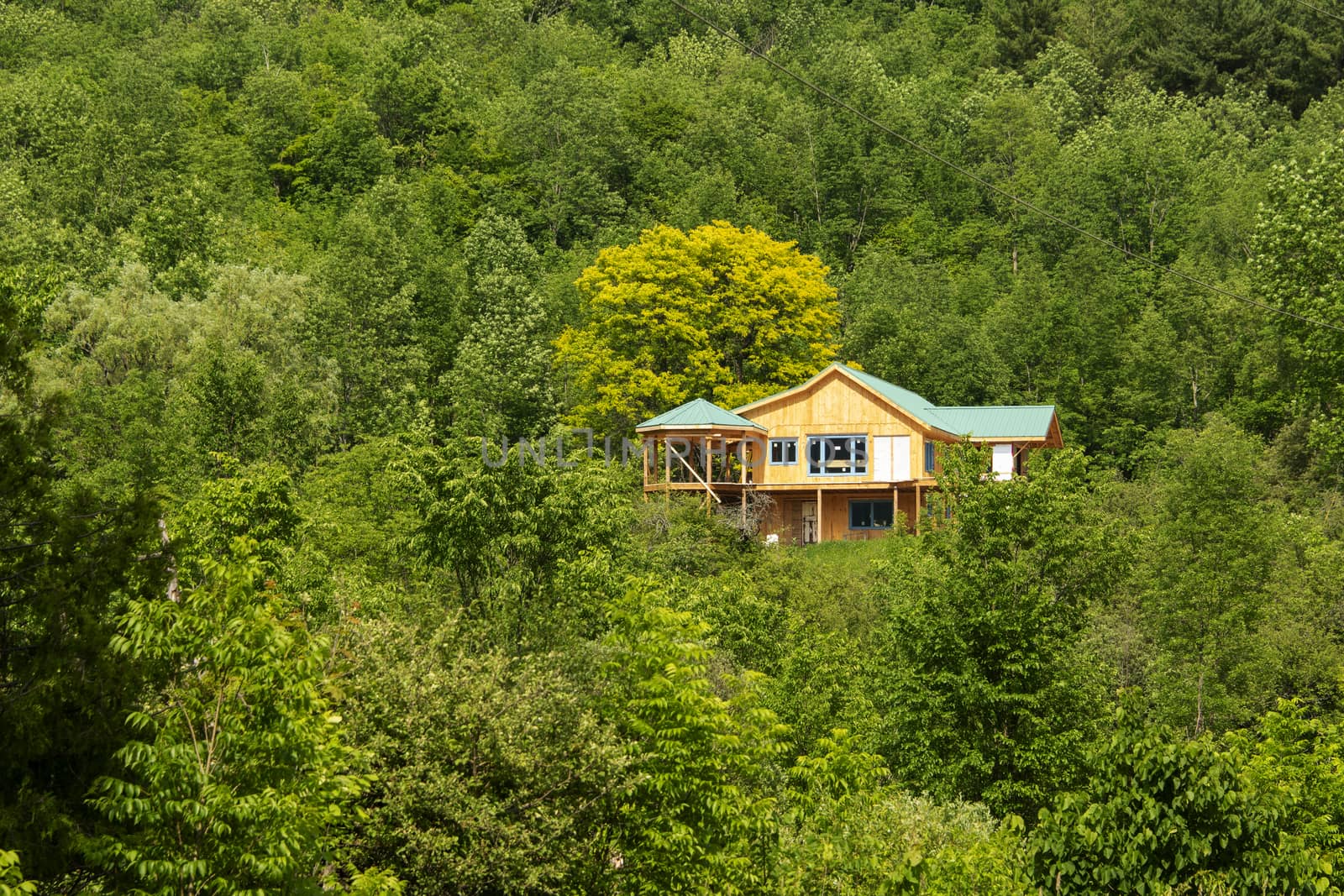 House under construction in the forest under the mountain by ben44