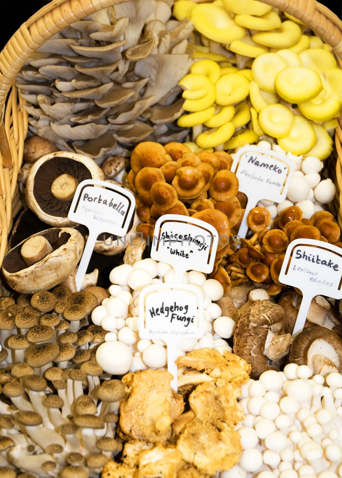 A variety of mushrooms and other fungi in a basket