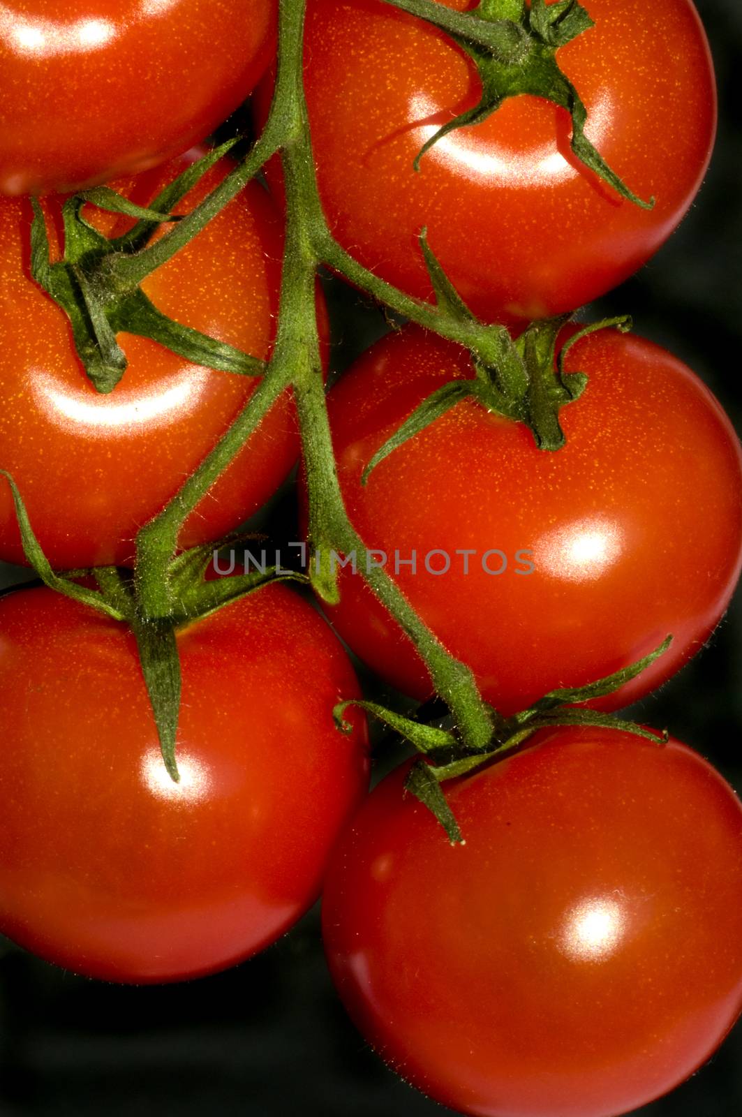 A bunch of ripe tomatoes on the vine