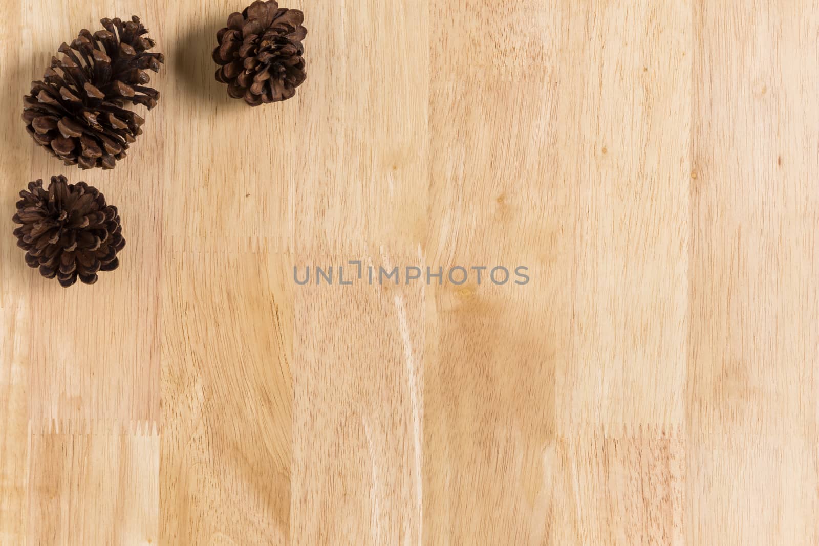 Wood Texture  Frame Background Decorated by Dry Pine