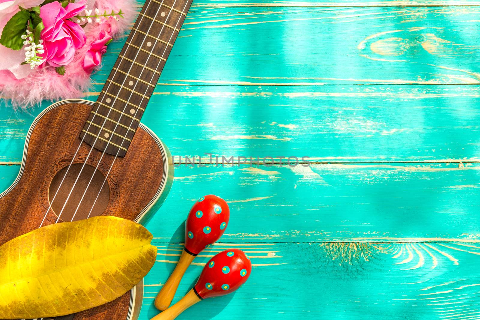 Ukulele is a Hawaiian Style String Music Instrument.