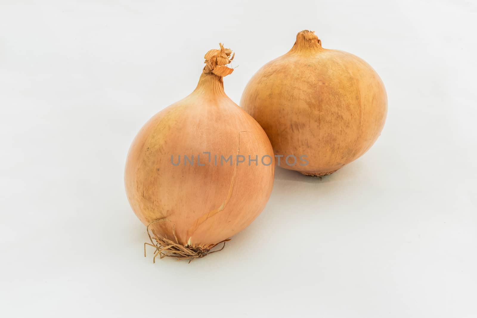 Onion isolated on white background.