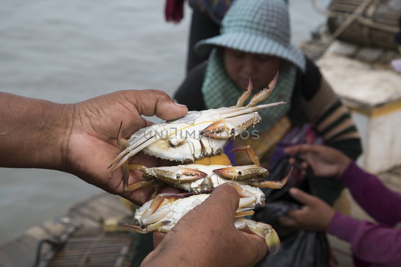 Crab Market, Krong Kaeb, Kep Province, Cambodia by GABIS