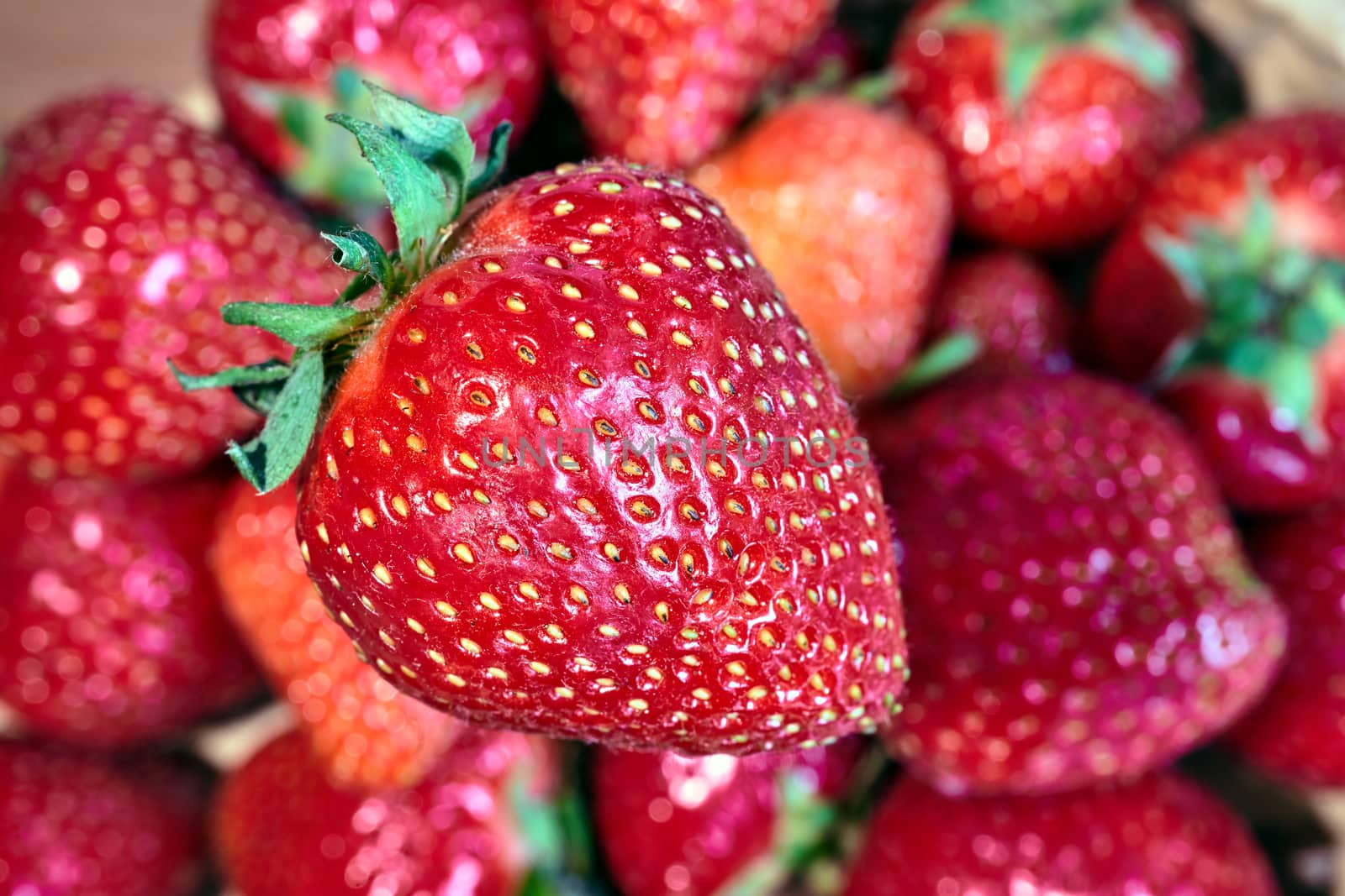 Strawberries in a wicker basket during spring in Poland