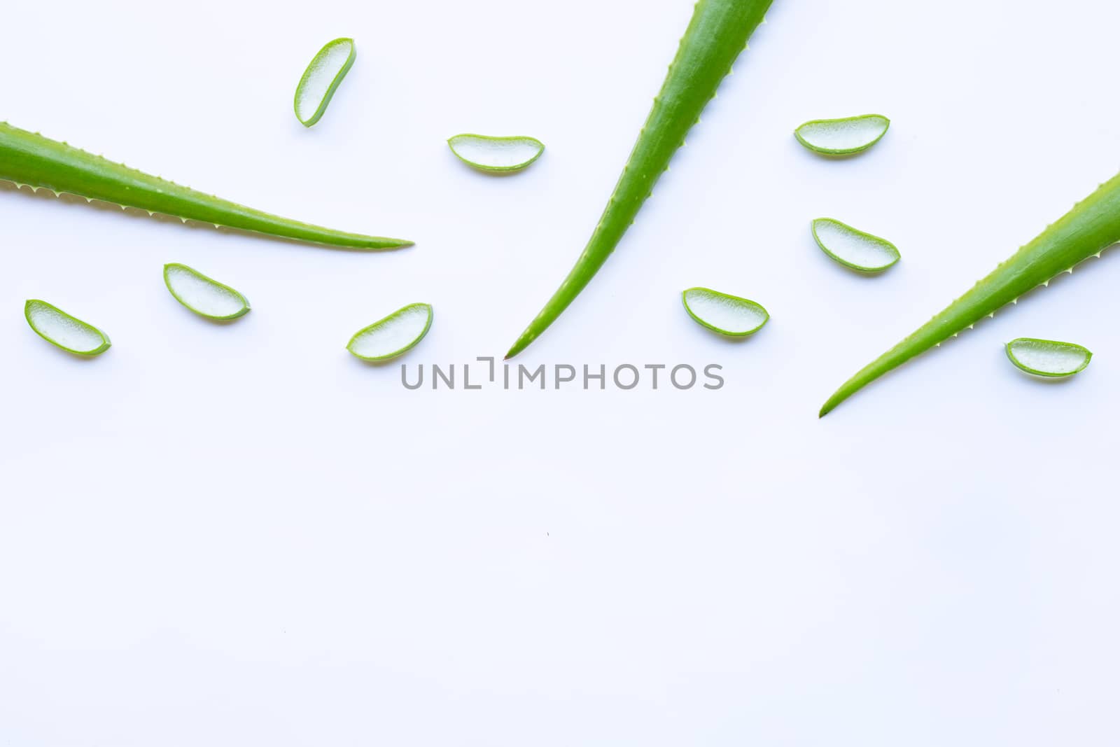 Aloe vera fresh leaves with slices on white background. Copy space