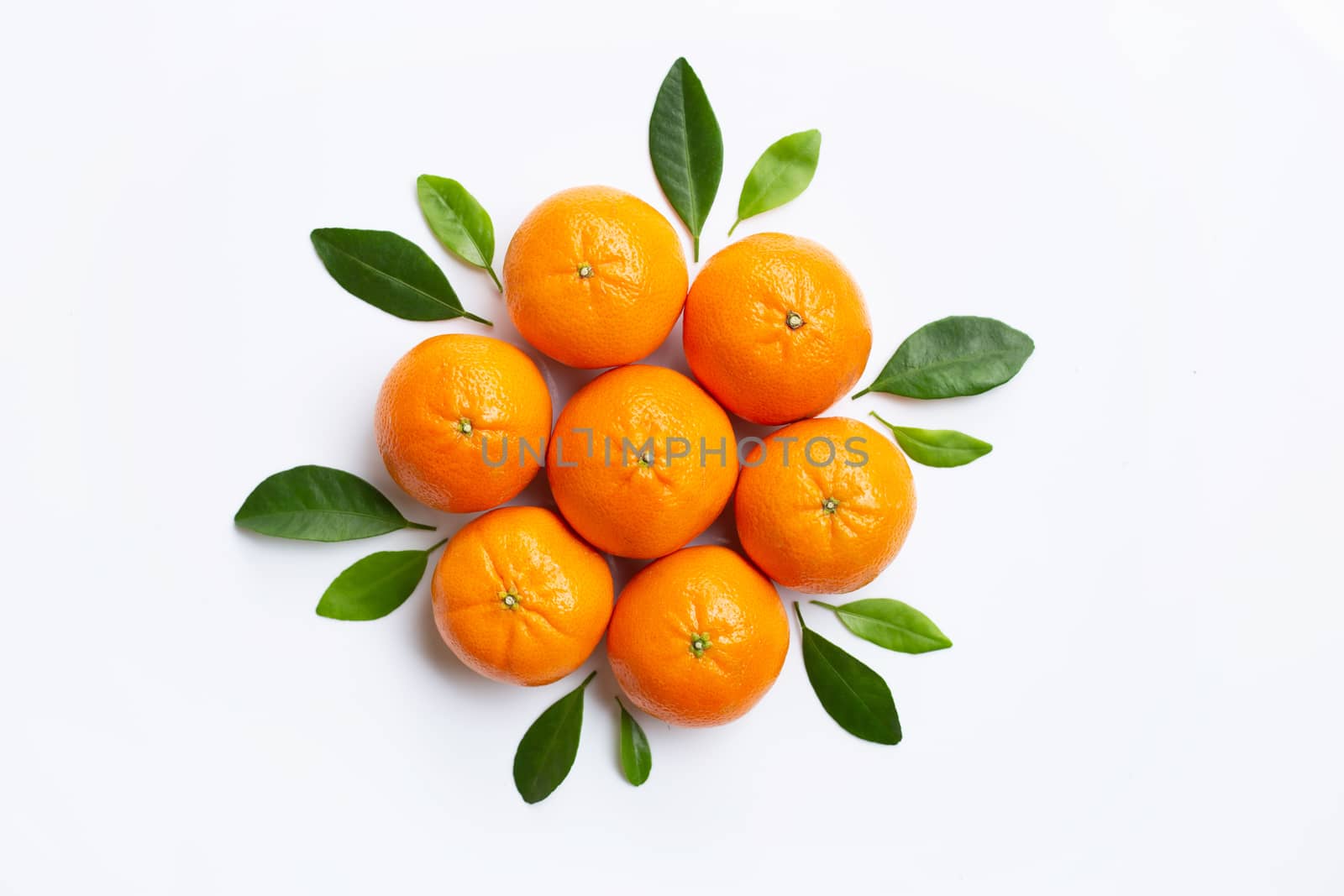 Mandarin Orange. White Background