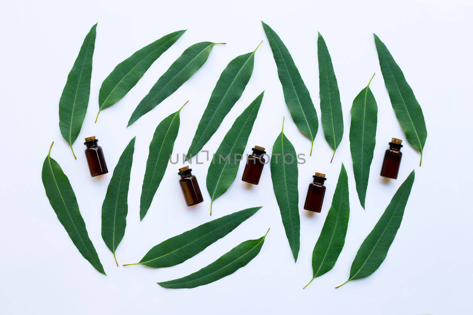 Eucalyptus oil bottle with  leaves on white background.