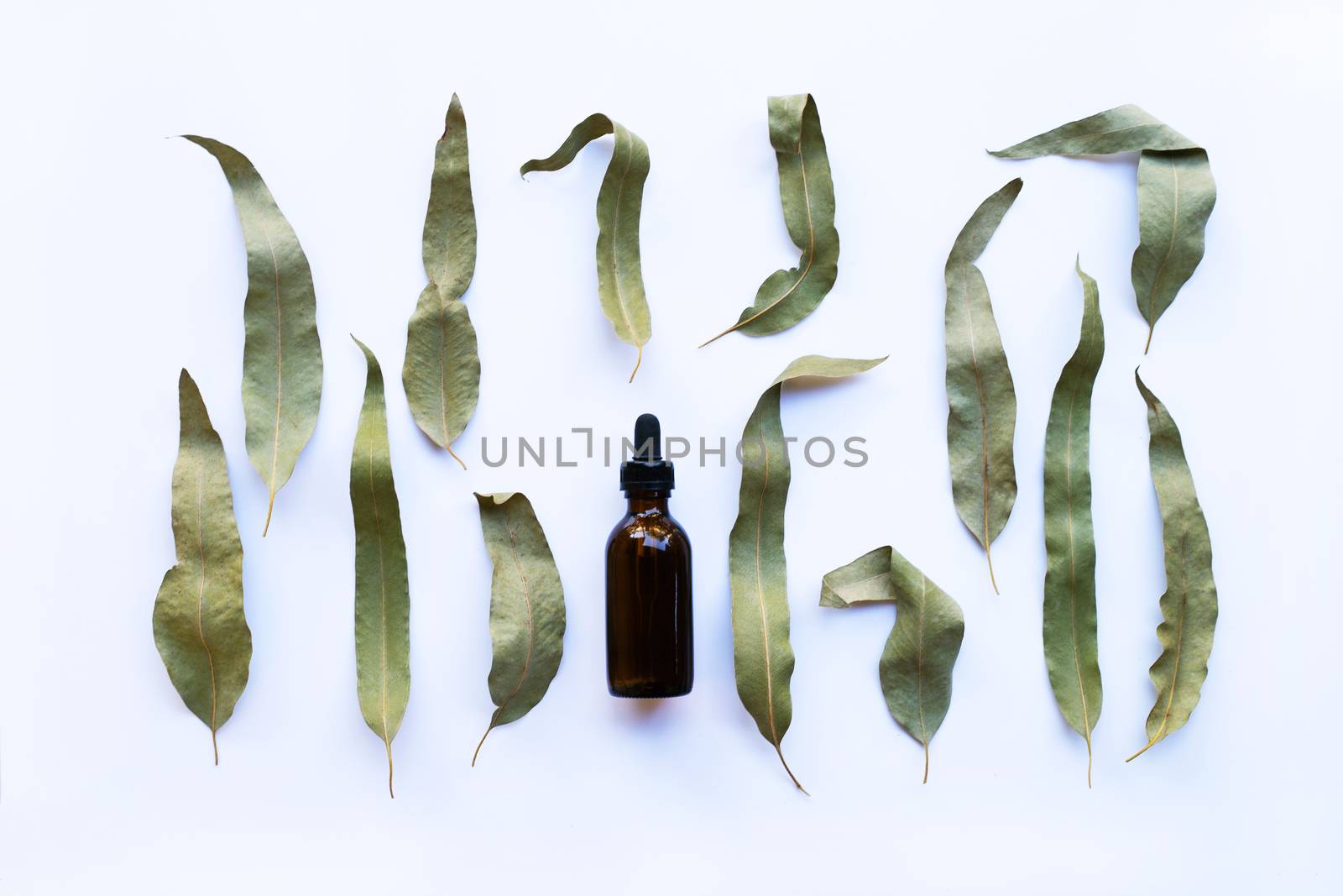 Eucalyptus essential oil bottle with dry leaves on white background.