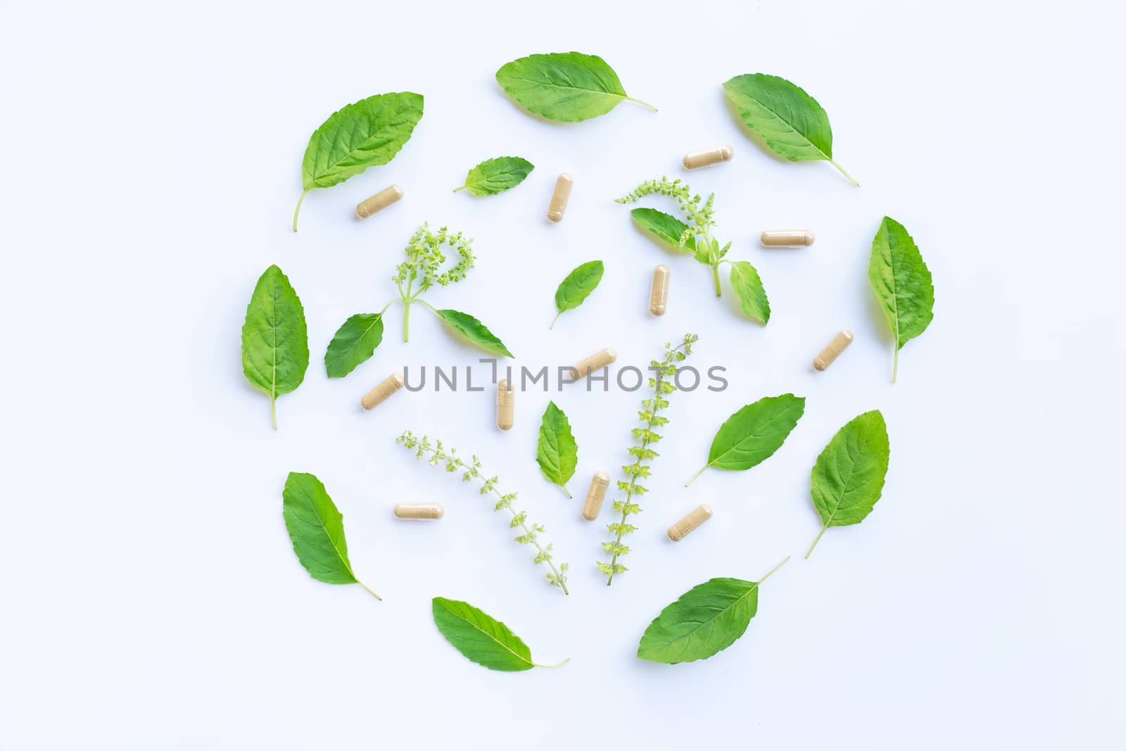 Holy basil leaves  and flower with herbal capsules on white background.