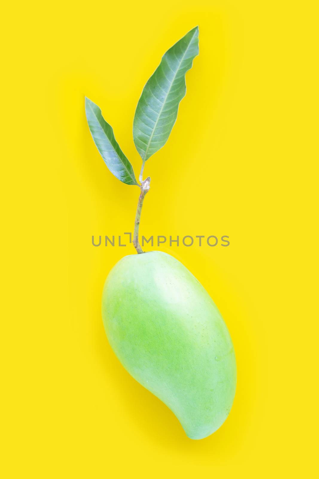 Top view of fresh green mango, Tropical fruit on yellow backgrou by Bowonpat