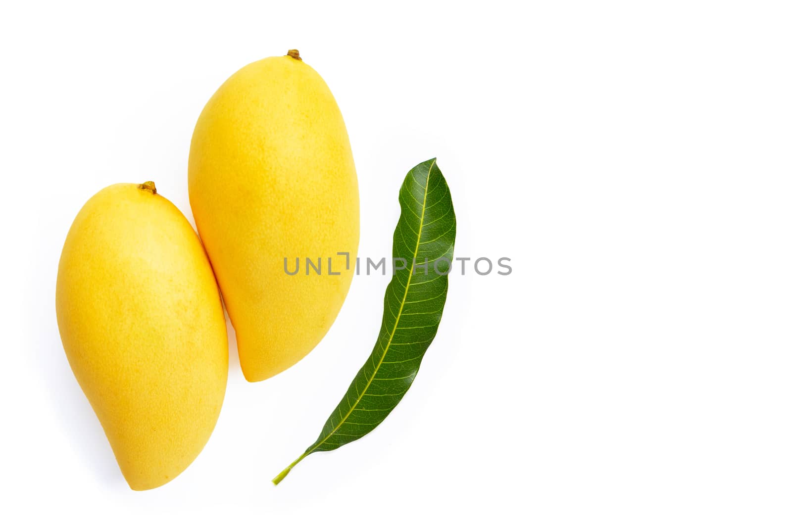 Top view of yellow mango, Tropical fruit  juicy and sweet.
