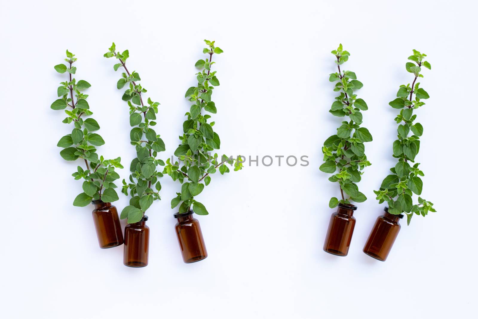 Bottle of essential oil with fresh oregano leaves on white background. Copy space
