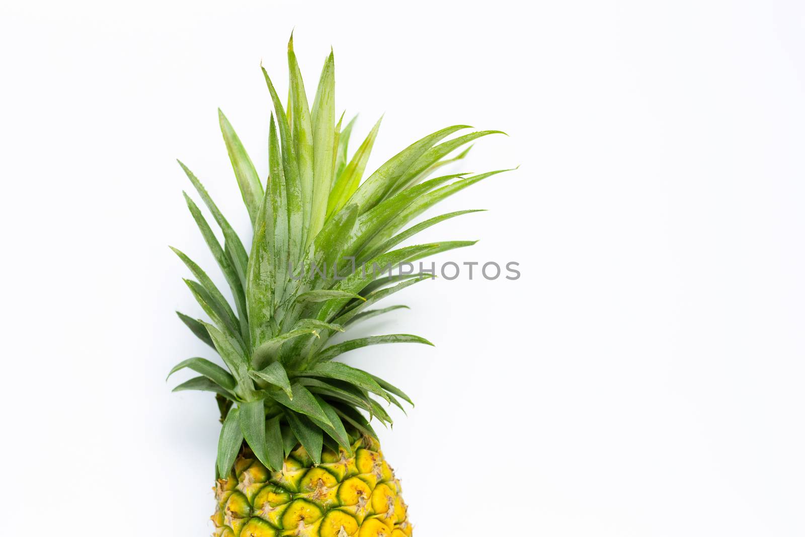 Fresh pineapple on white background. Copy space