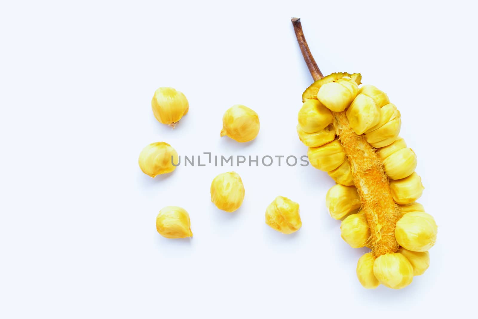 Champedak fruit on white background.