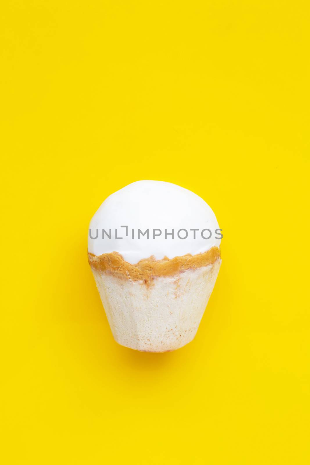 Coconut fruit on yellow background. Top view