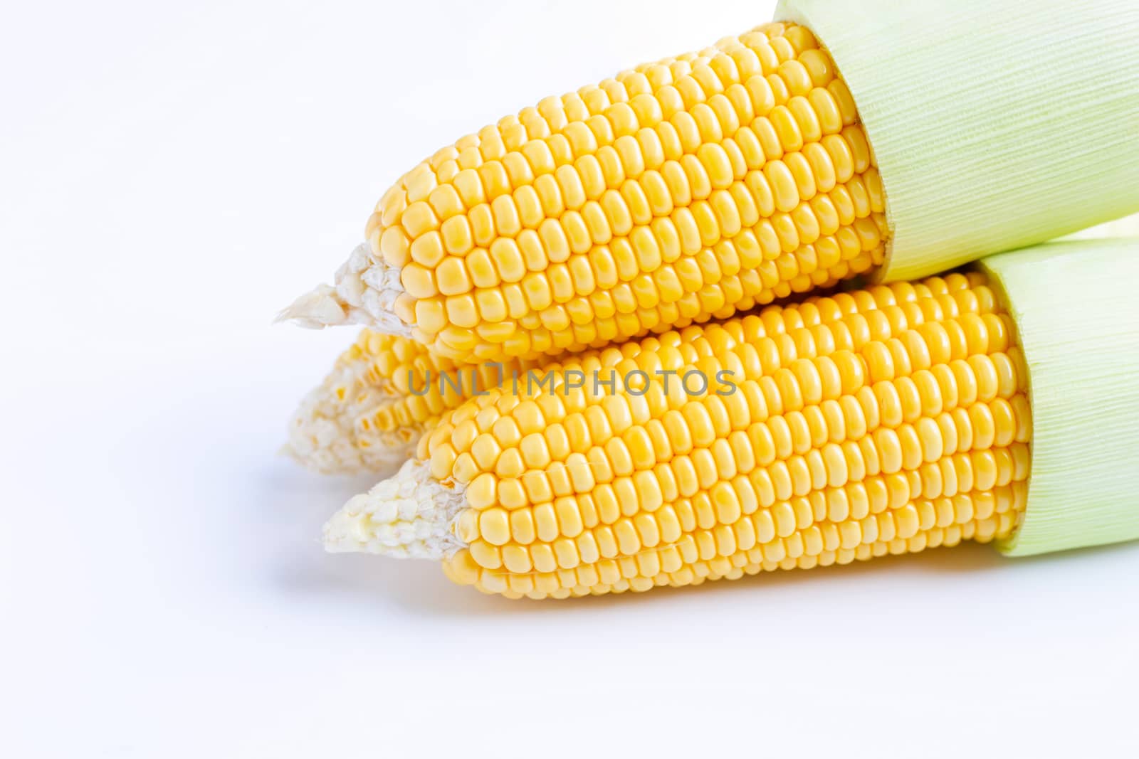 Fresh sweet corn on  white background.