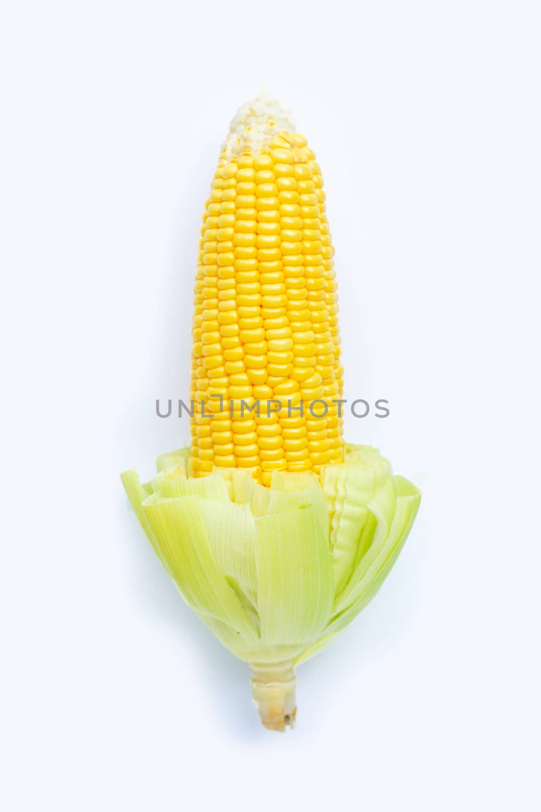 Fresh sweet corn on white background. Top view