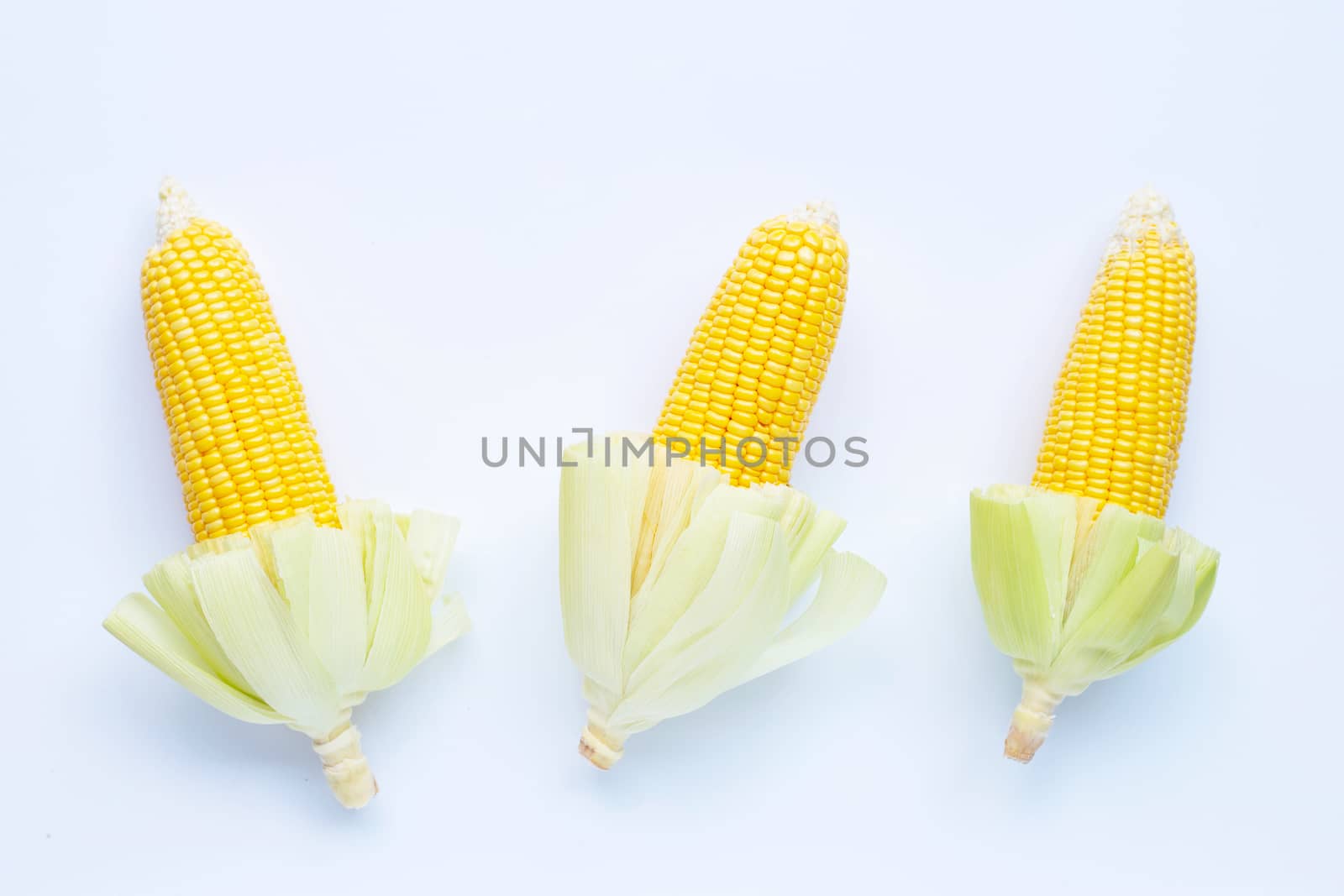 Fresh corn on a white background.
