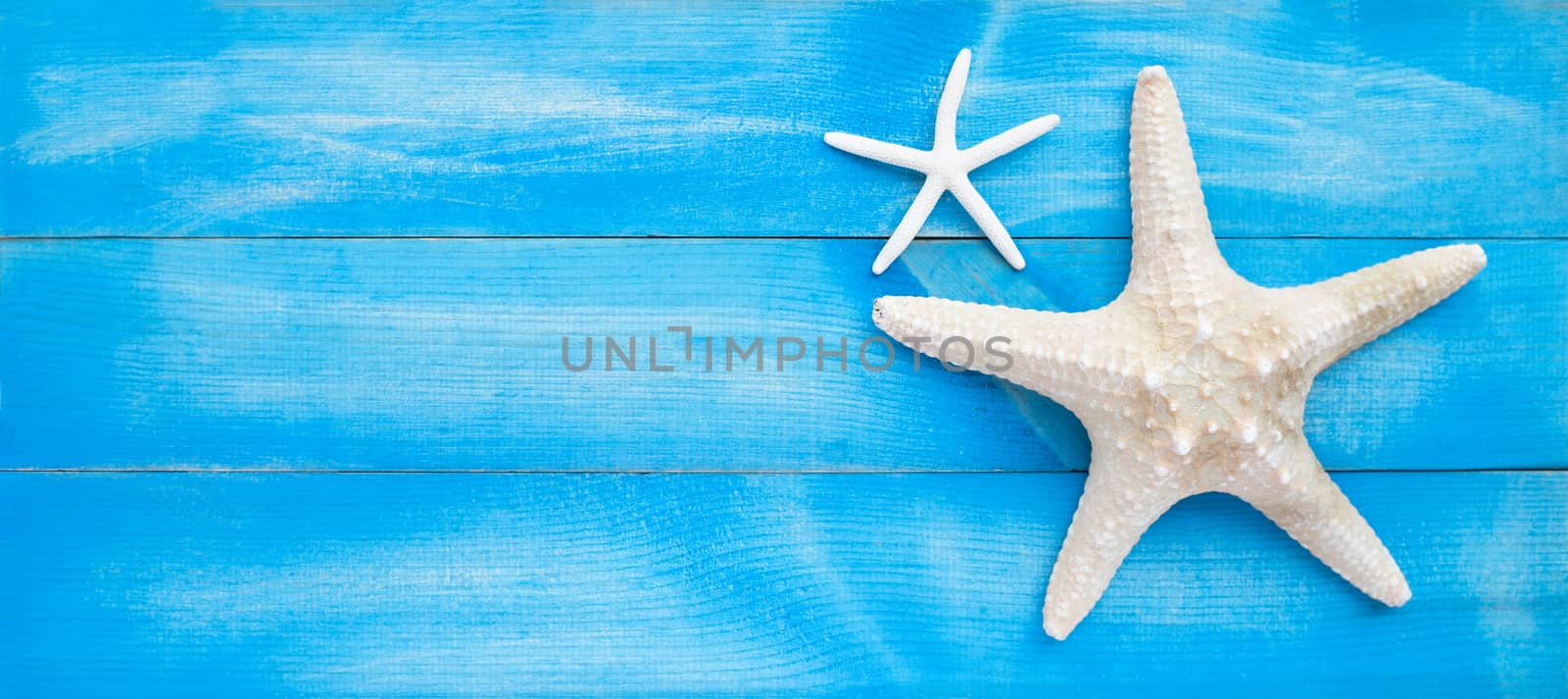 Two starfish on blue wooden background. Top view with copy space