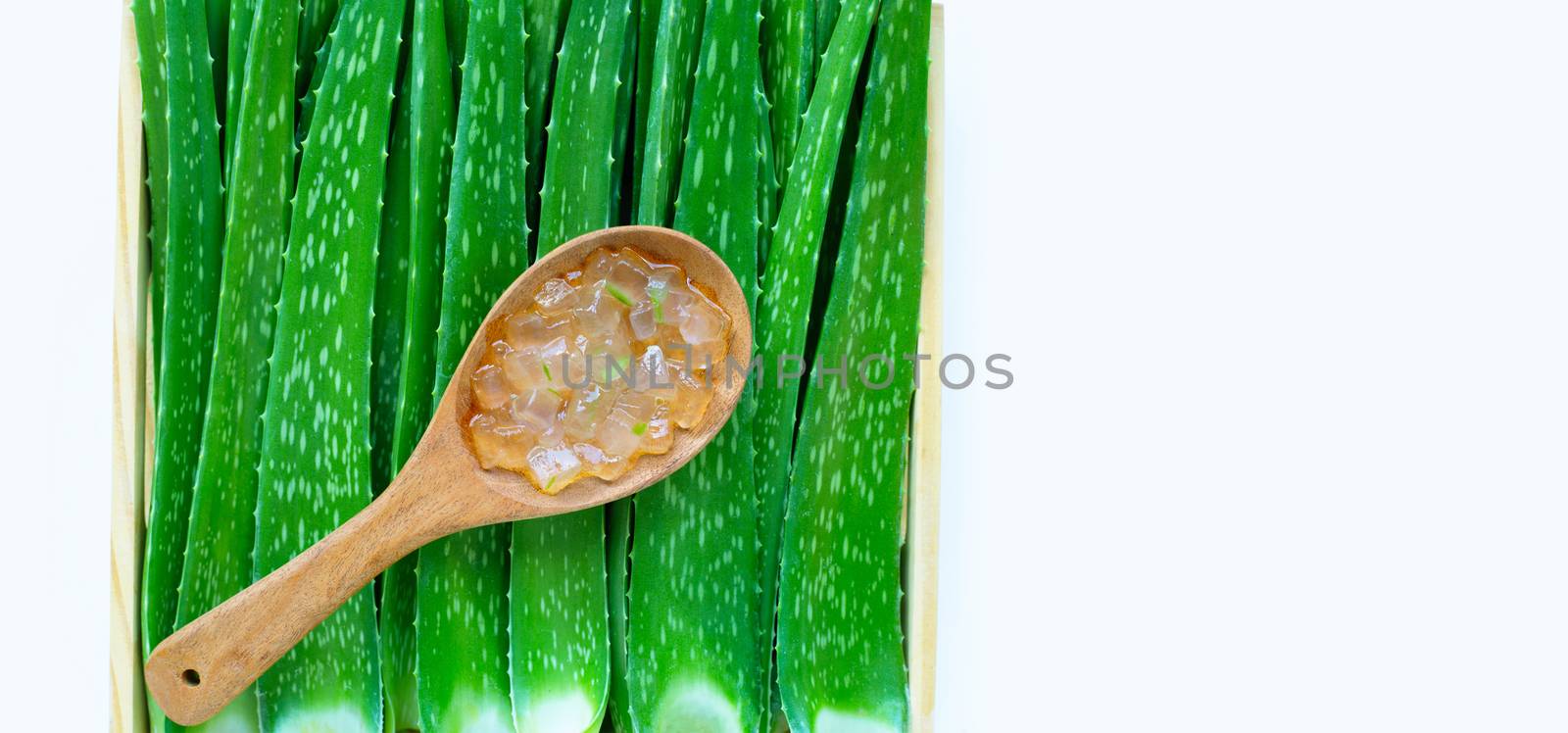 Aloe vera is a popular medicinal plant for health and beauty. Top view with copy space