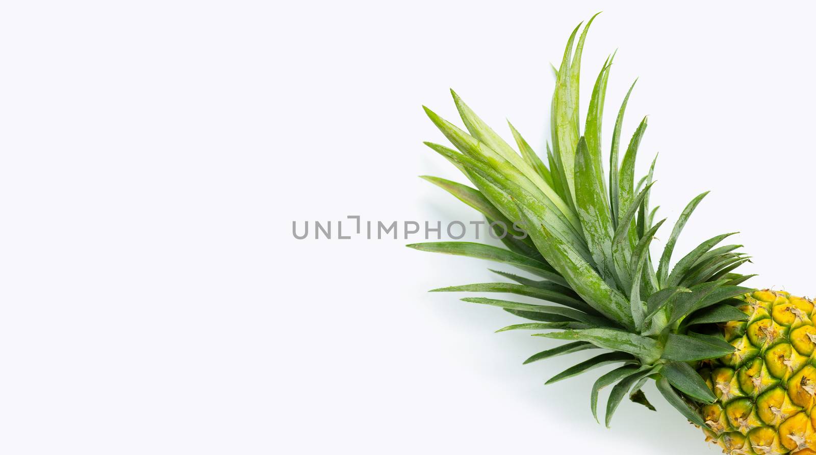Fresh pineapple on white background. Copy space