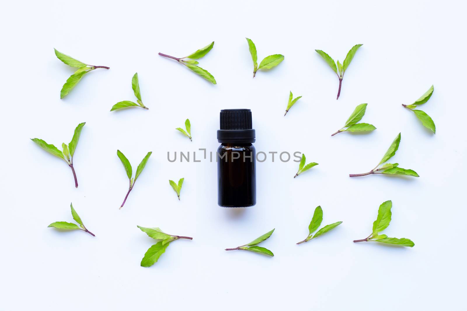 Holy basil essential oil in a glass bottle with fresh holy basil leaves and flower