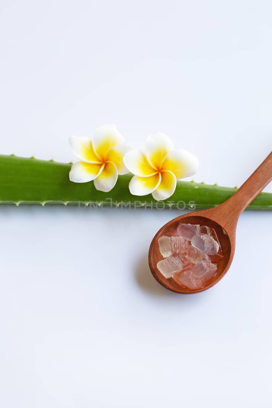 Aloe vera gel in wooden spoon and aloe vera leave with flower on white background. Copy space