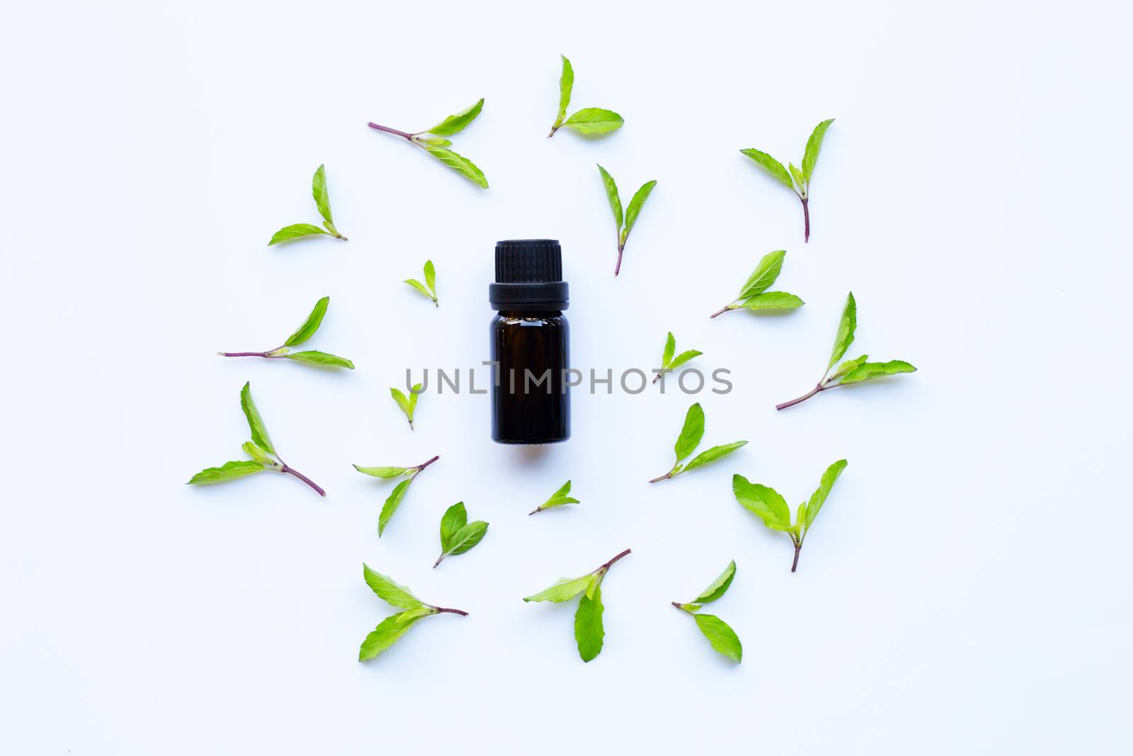 Holy basil essential oil in a glass bottle with fresh holy basil leaves and flower