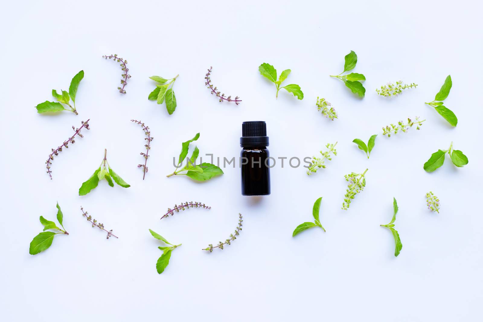 Holy basil essential oil in a glass bottle with fresh holy basil leaves and flower