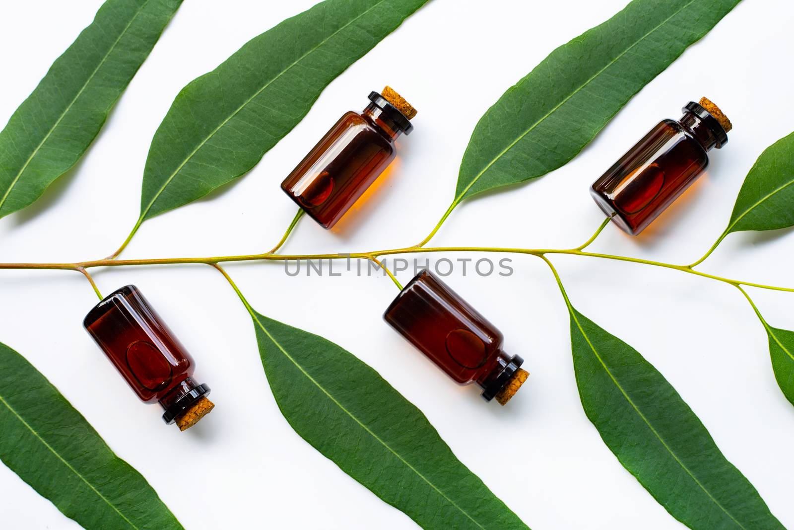 Title:

Eucalyptus oil bottle with eucalyptus branch on white background